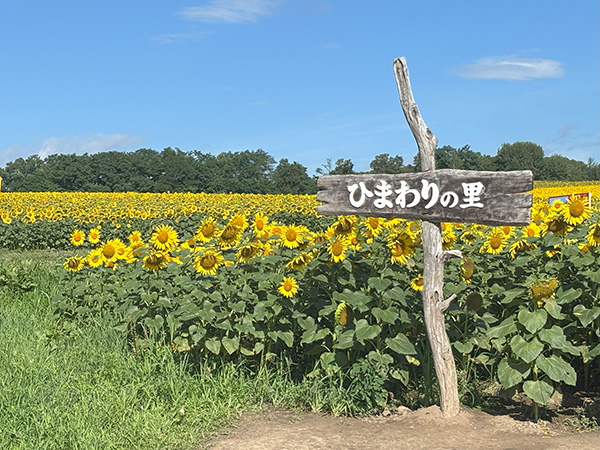 観光地の人流をスマートに管理！AIカメラとRaspberry Piでひまわり畑の“にぎわい”を見える化
